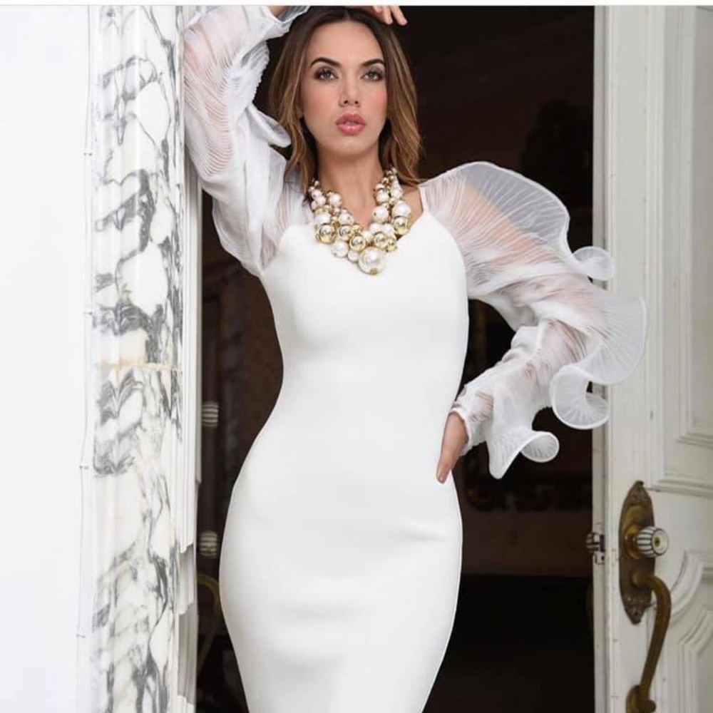 Gorgeous Organza sleeve dress